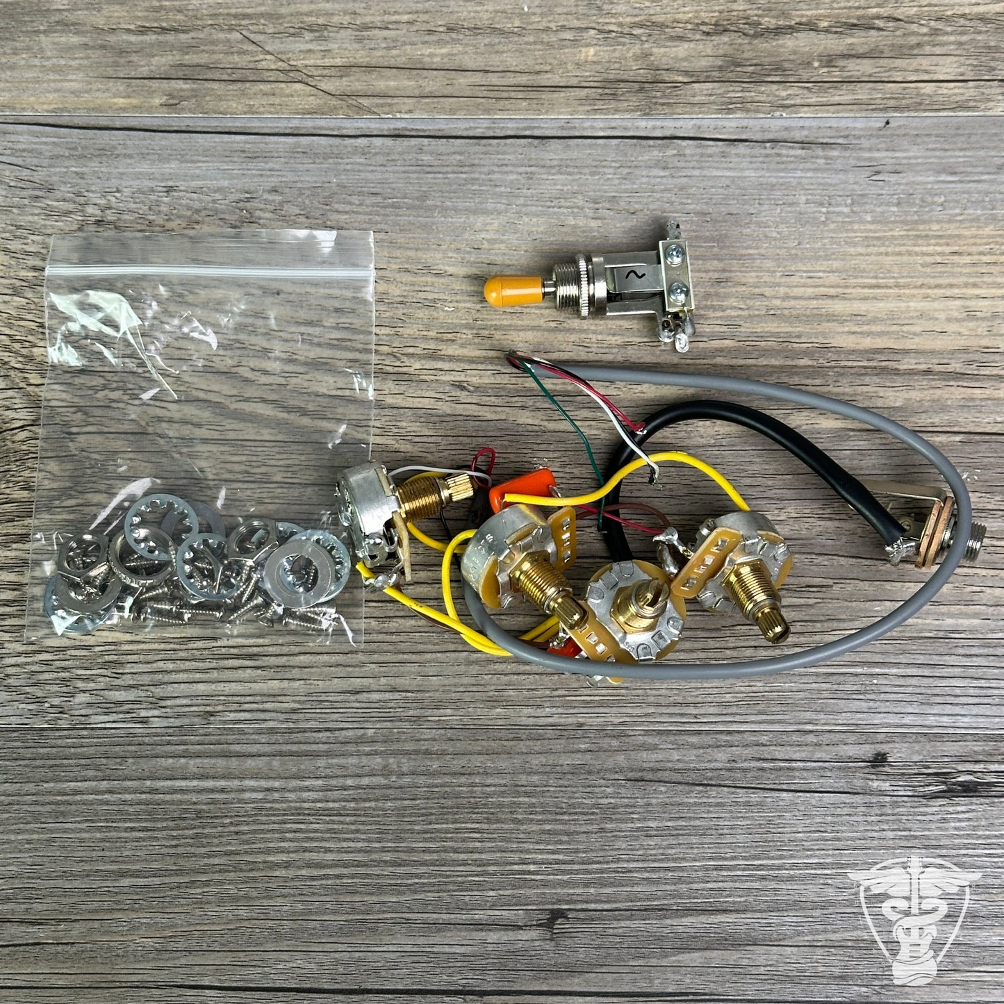 Gibson Les Paul Special Pots, Input Jack & Switch