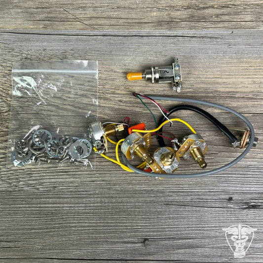 Gibson Les Paul Special Pots, Input Jack & Switch