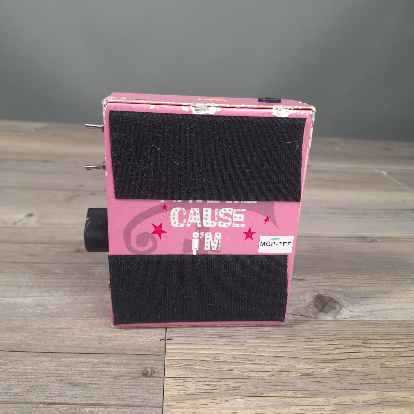 MG Pedals That's Echo Folks! (USED)