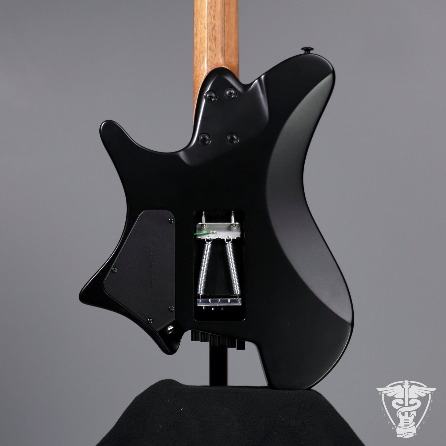Strandberg Salen NX 6 Tremolo Plini Edition - 5.49 LBS