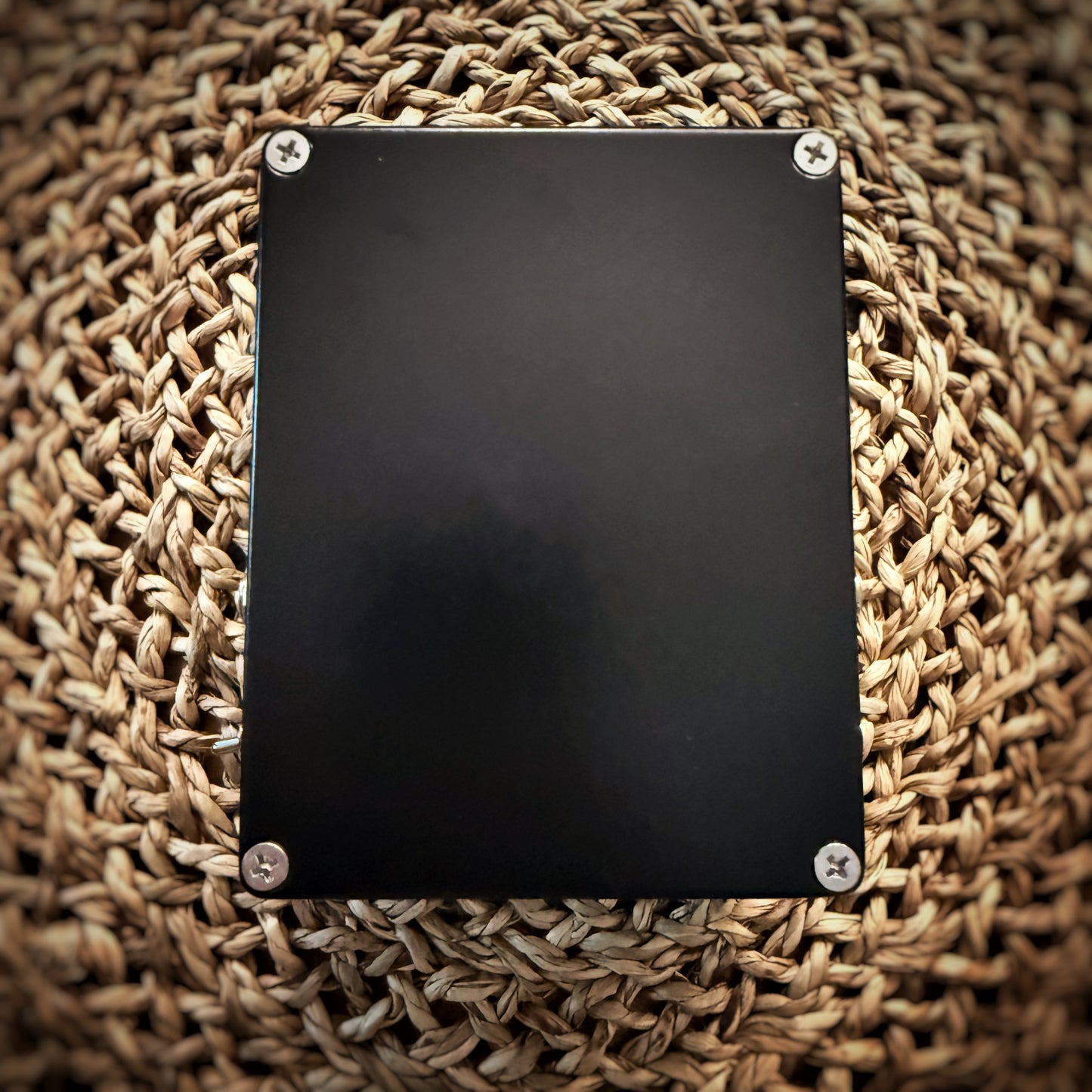 FTelettronica Saintamp (New - Open Box)