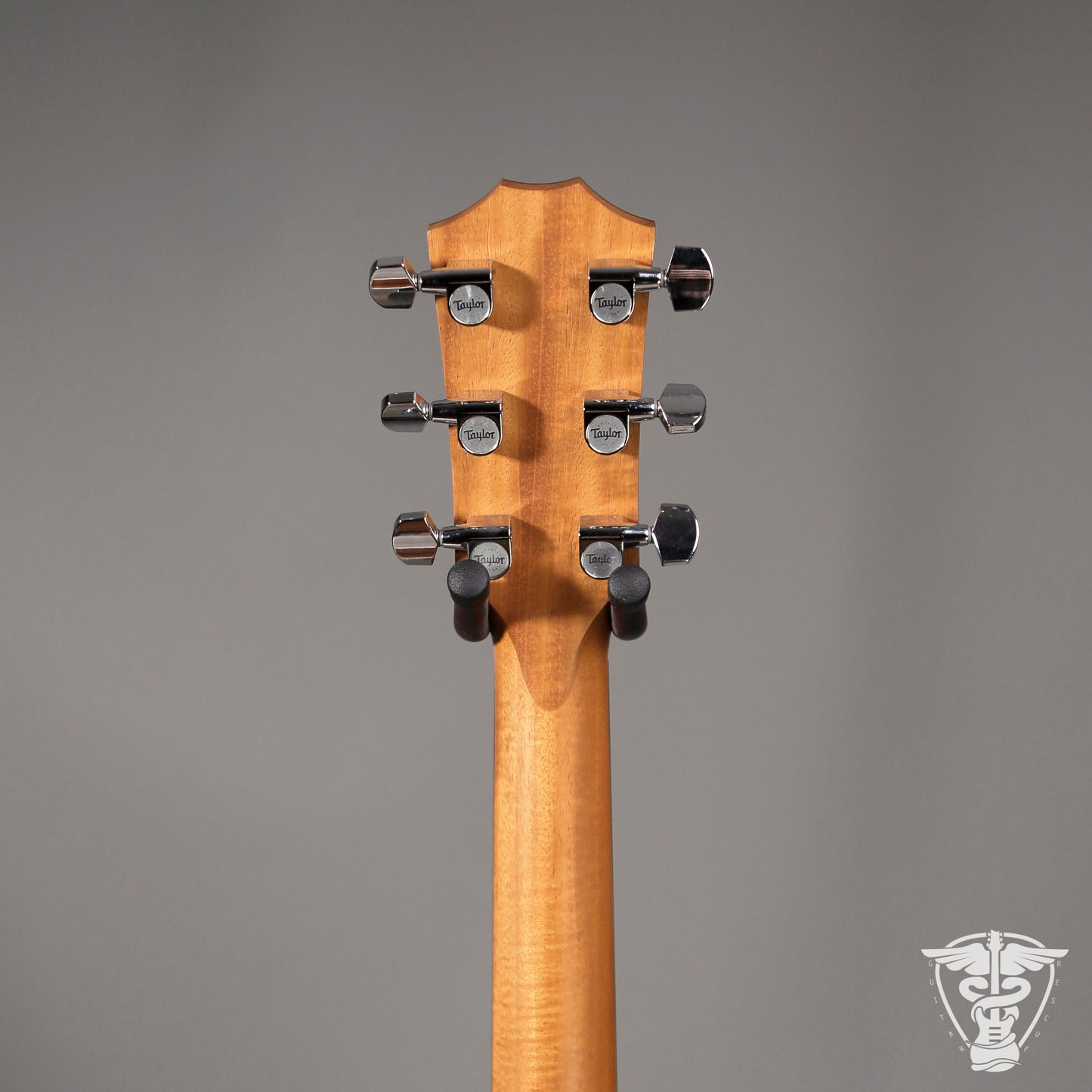 2022 Taylor 210ce - 4.71 LBS