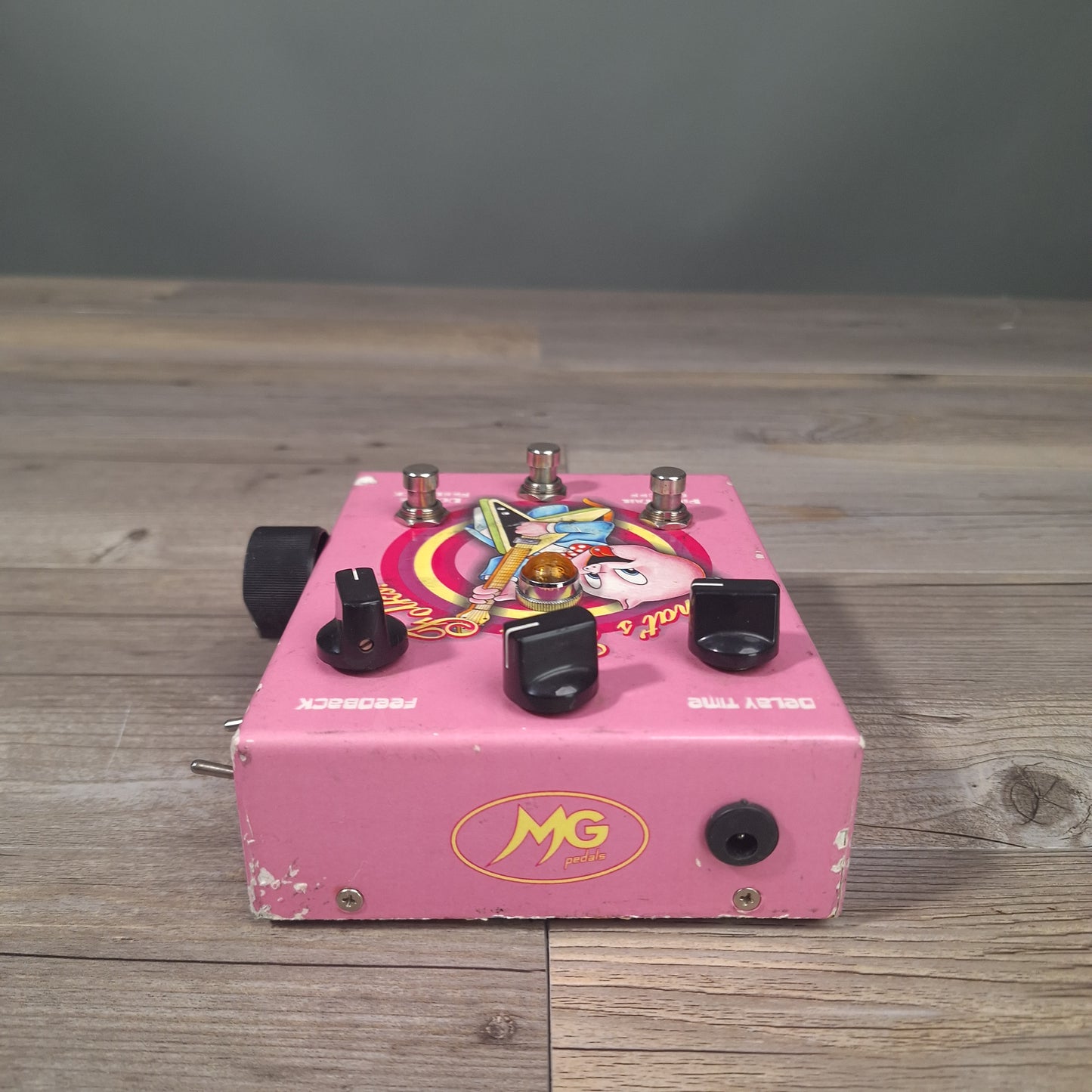 MG Pedals That's Echo Folks! (USED)