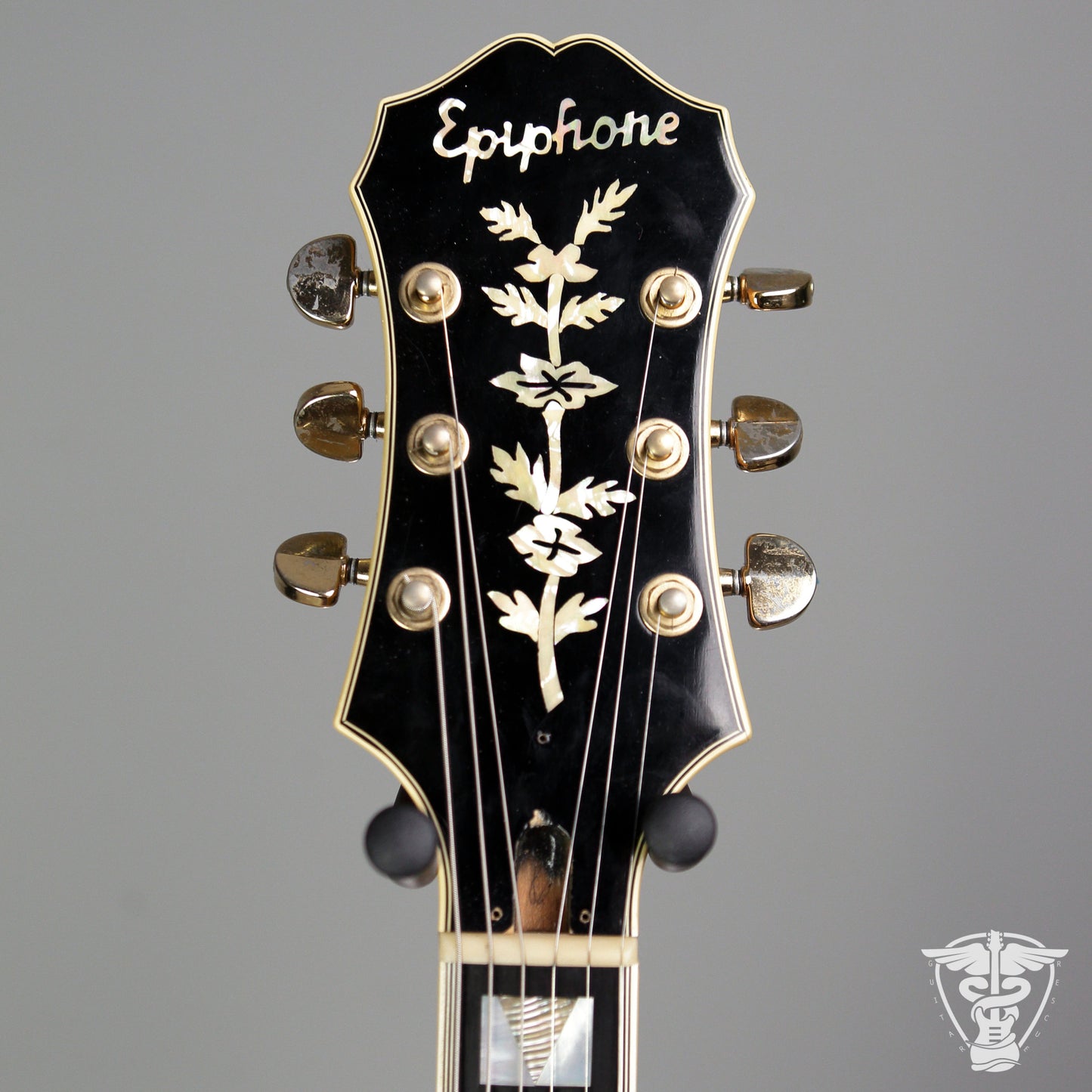 1981 Epiphone Emperor F - 8.1 LBS