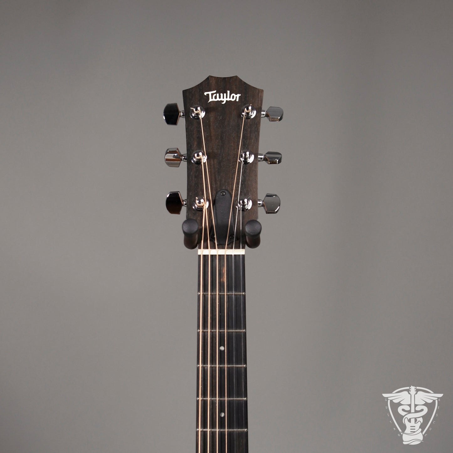 2022 Taylor 210ce - 4.71 LBS