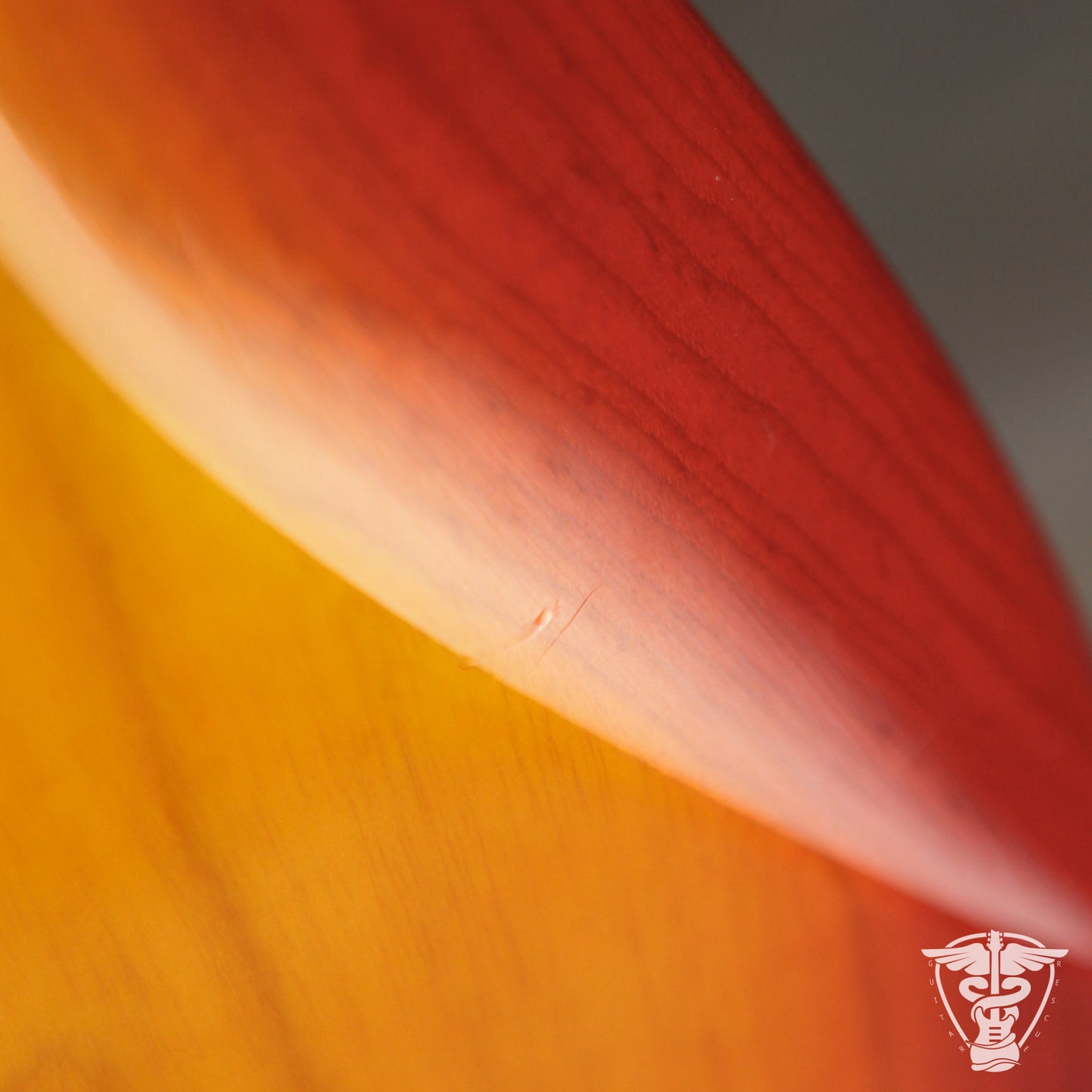 2018 Partscaster Tele w/ Fender Elite Neck & Parallel Universe Body - 7.44 LBS