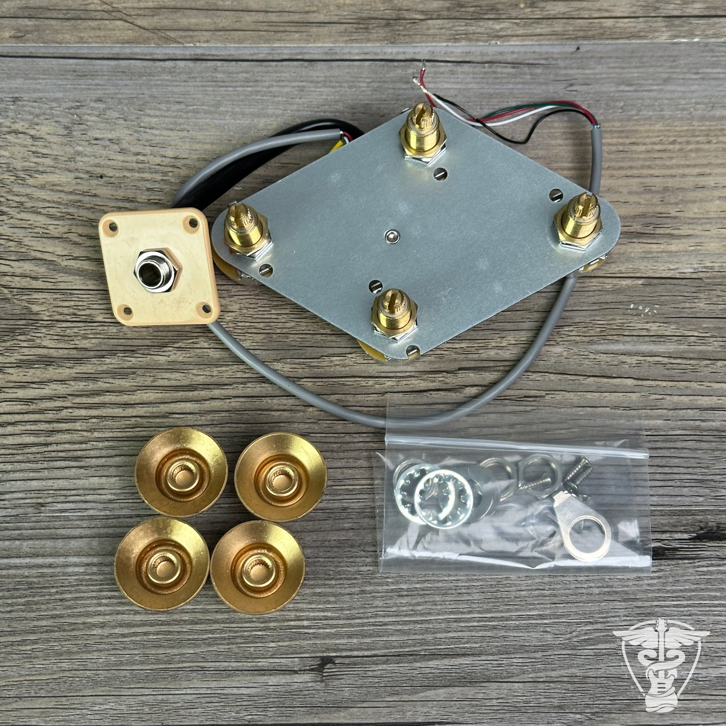 Gibson Les Paul Control Panel W/Input Jack + Knobs